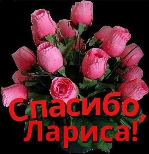 Девушка лариса