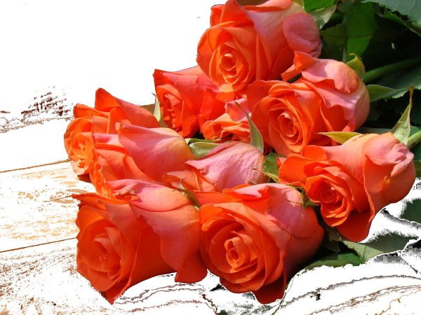 Девушка лариса