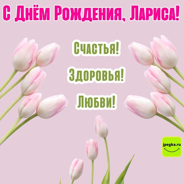 Девушка лариса