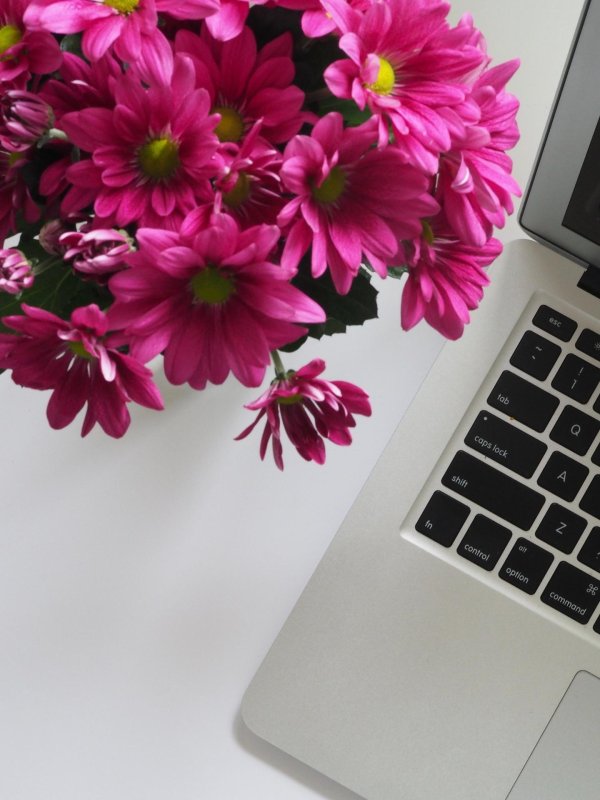 розовый цветок