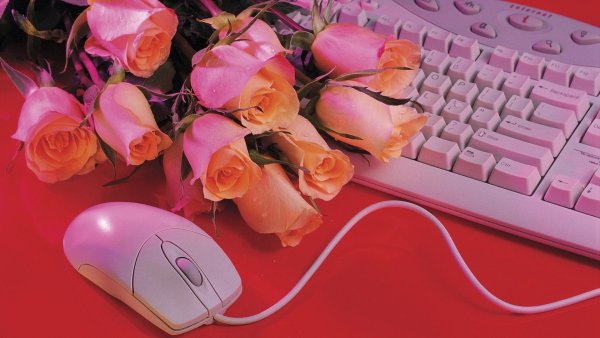 виртуальные друзья