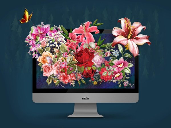 монитор красивый