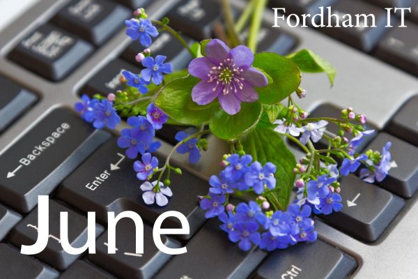 цветочная клавиатура