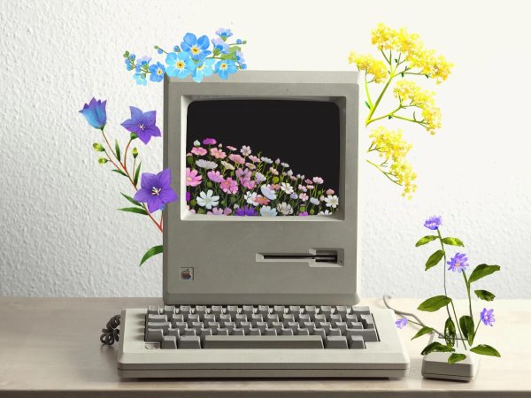 макинтош 1984