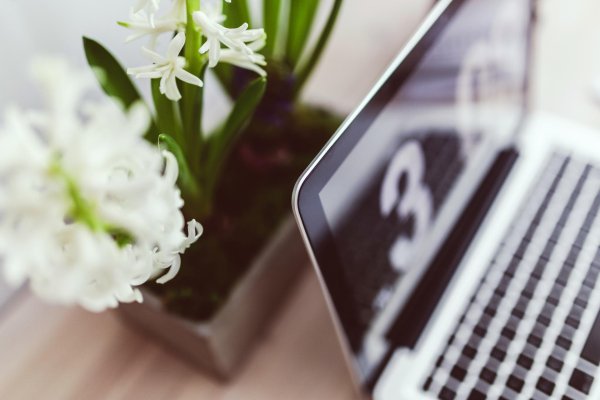 гиацинт карнеги