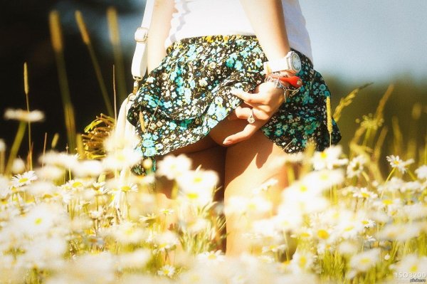 Лета с девушками