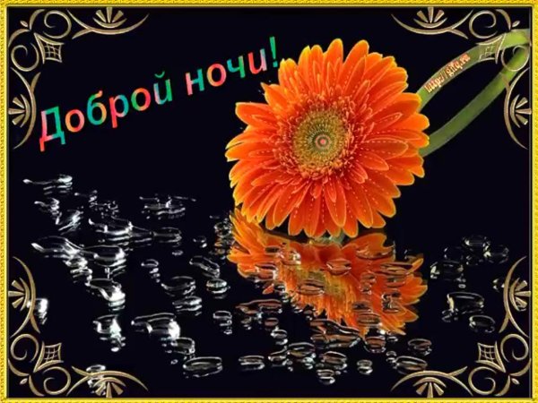 С мерцающими девушками