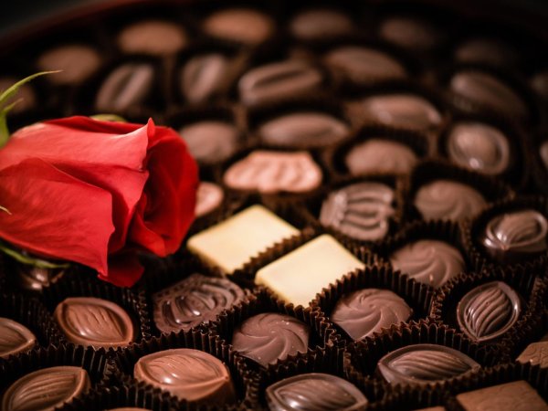 шоколадная конфета