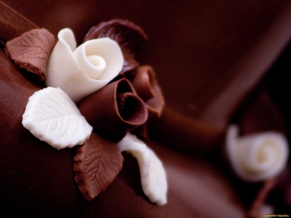 шоколадная роза