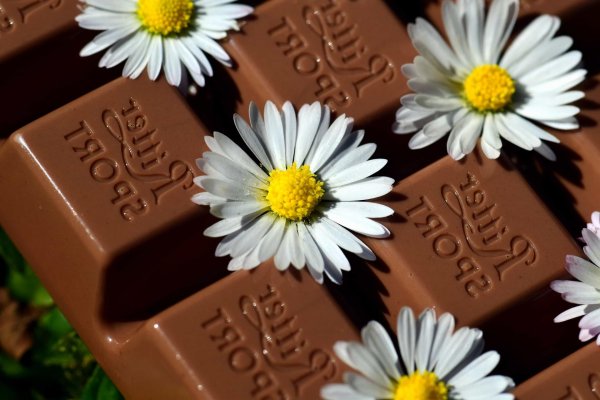 молочный шоколад
