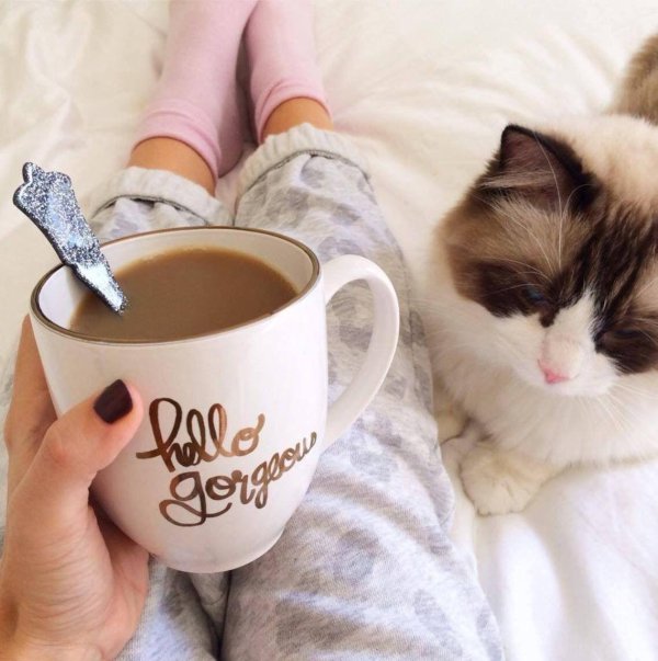 Утро девушка необычные