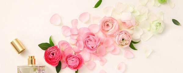 фон для парфюма