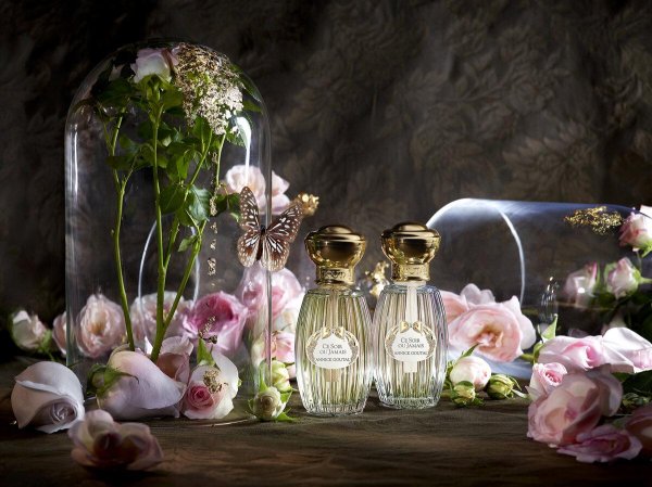 анник гуталь