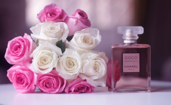 chanel coco mademoiselle intense