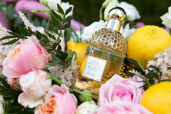 guerlain aqua allegoria mandarine basilic