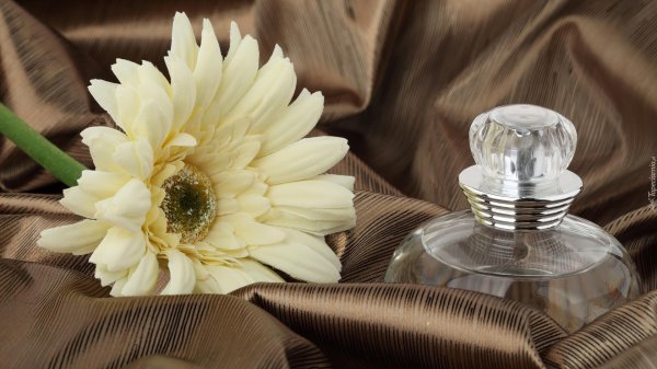 парфюмерная вода lalique soleil