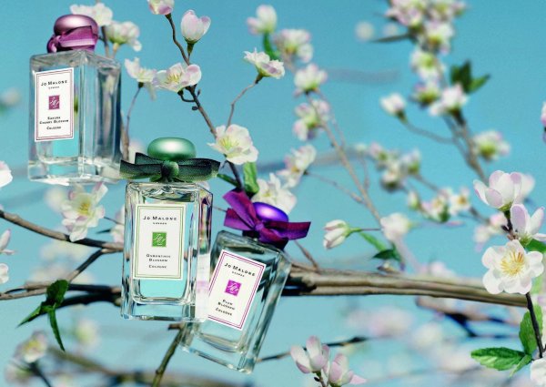 jo malone plum blossom