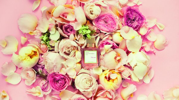 francis kurkdjian leau a la rose