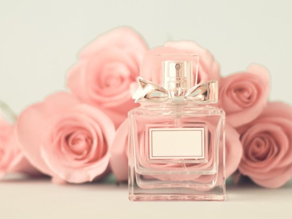 rose perfume theme