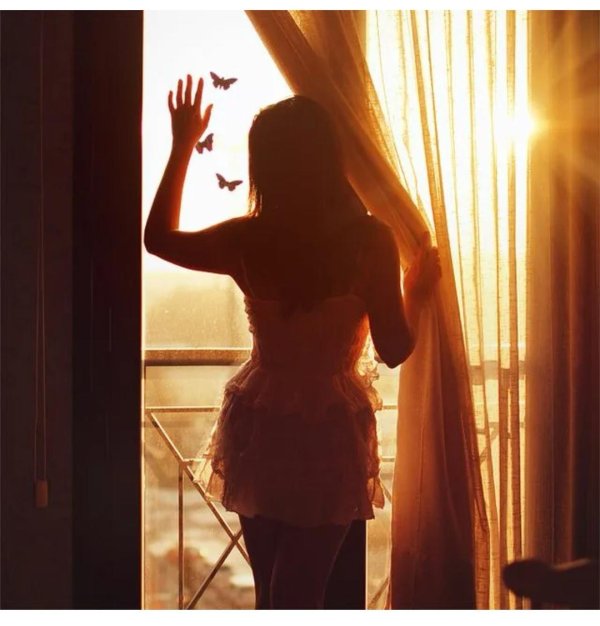 Окон с девушками