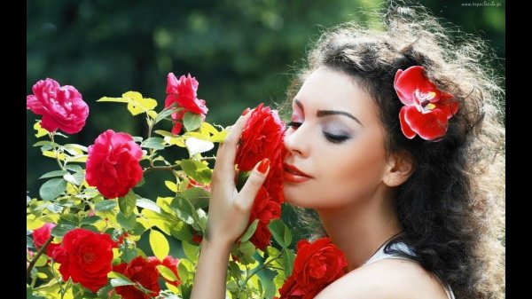 женщинам цветы