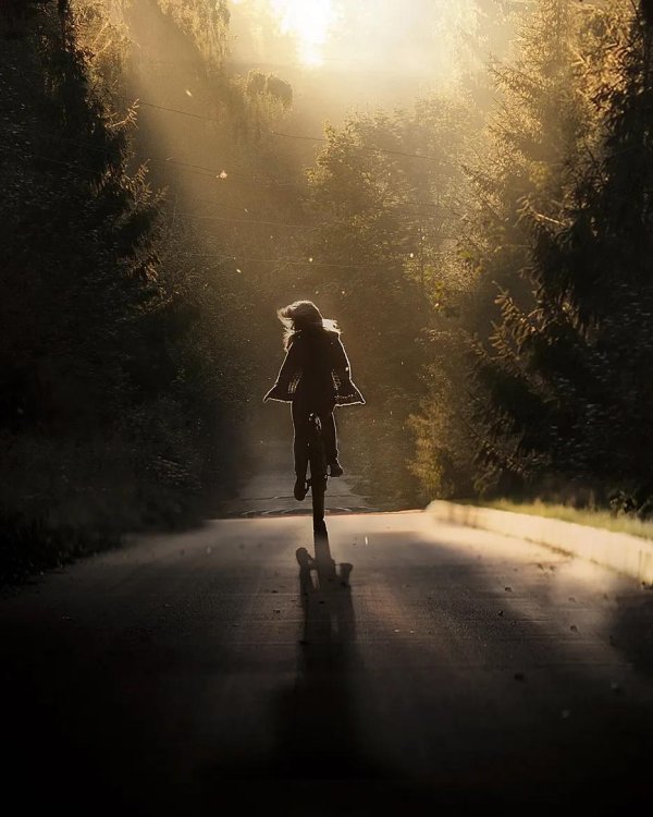 Девушка и дорога