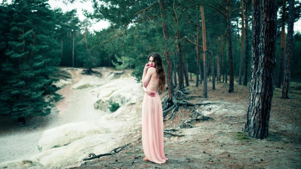 Лес и девушка
