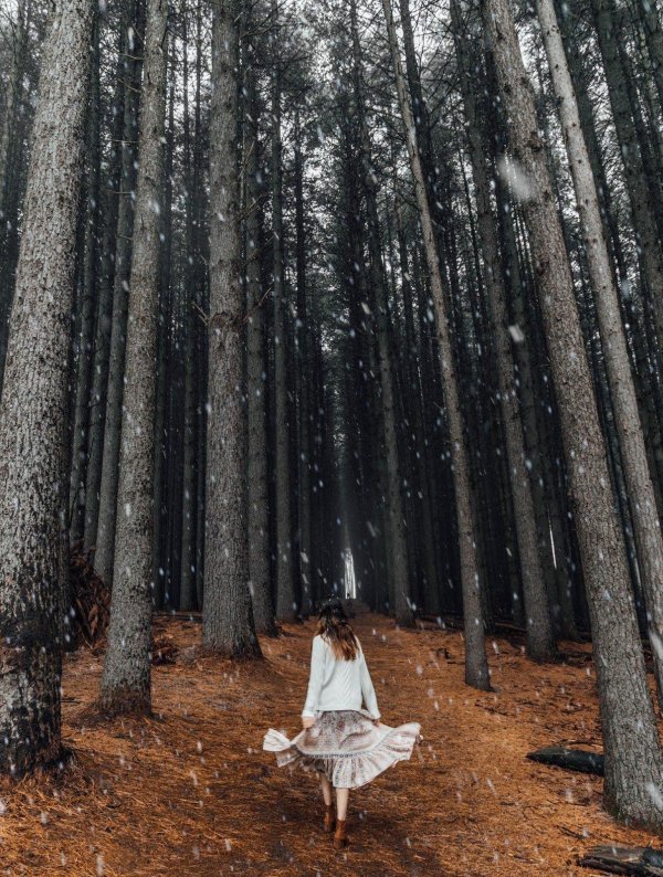 Лес и девушка