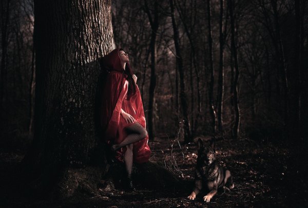 Лес и девушка