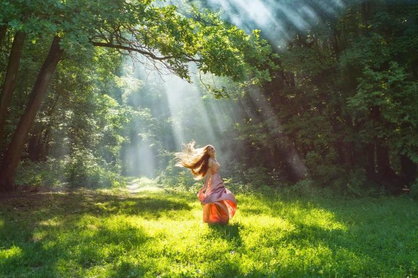 Лес и девушка