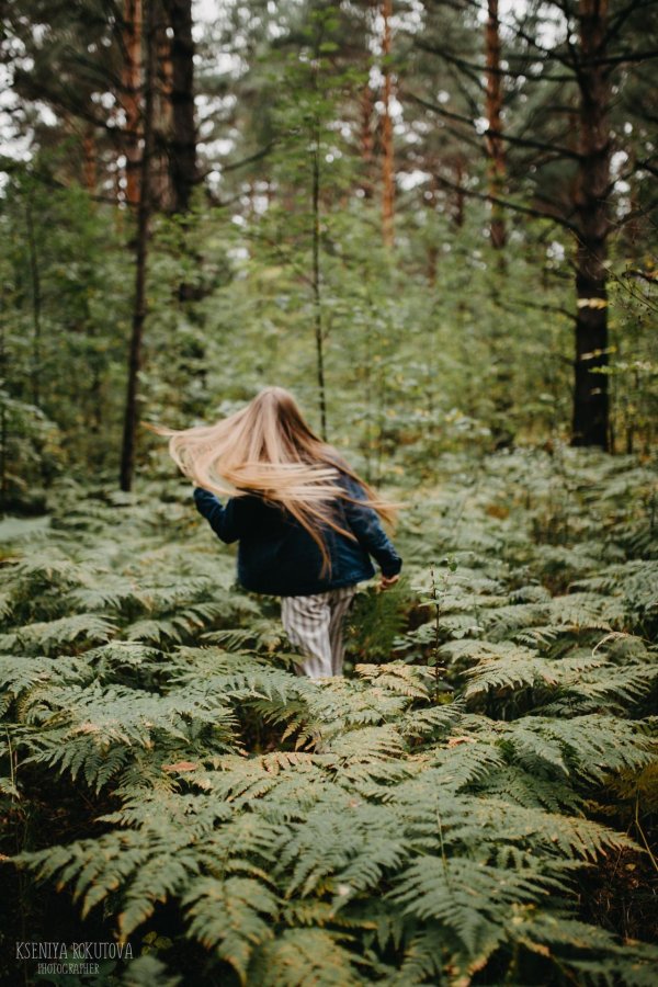 Лес и девушка