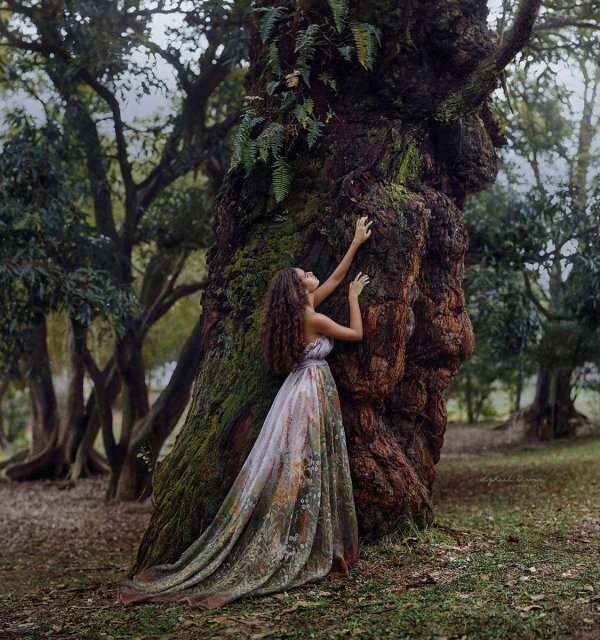 Лес и девушка