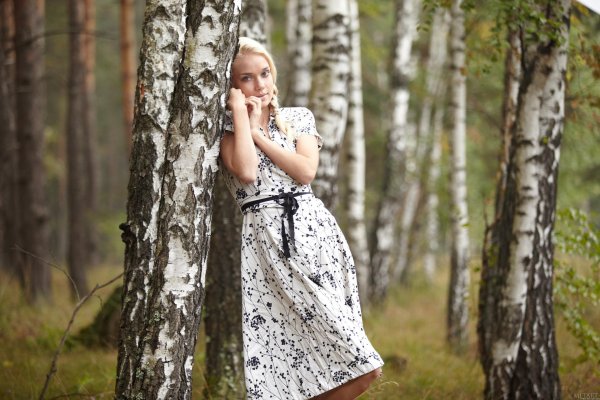 Лес и девушка