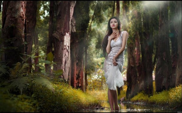 Лес и девушка