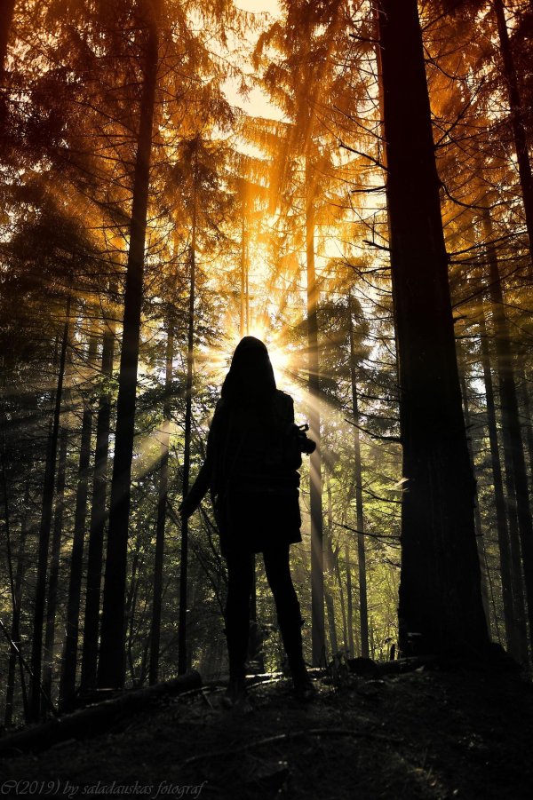 Лес и девушка