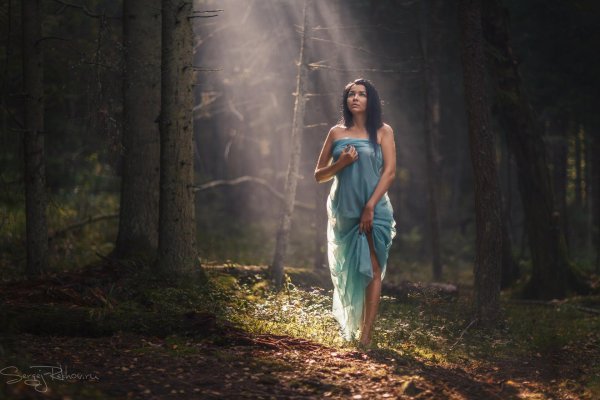 Лес и девушка