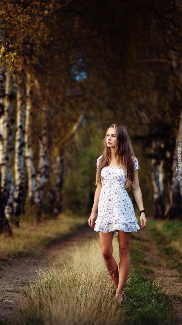 Лес и девушка