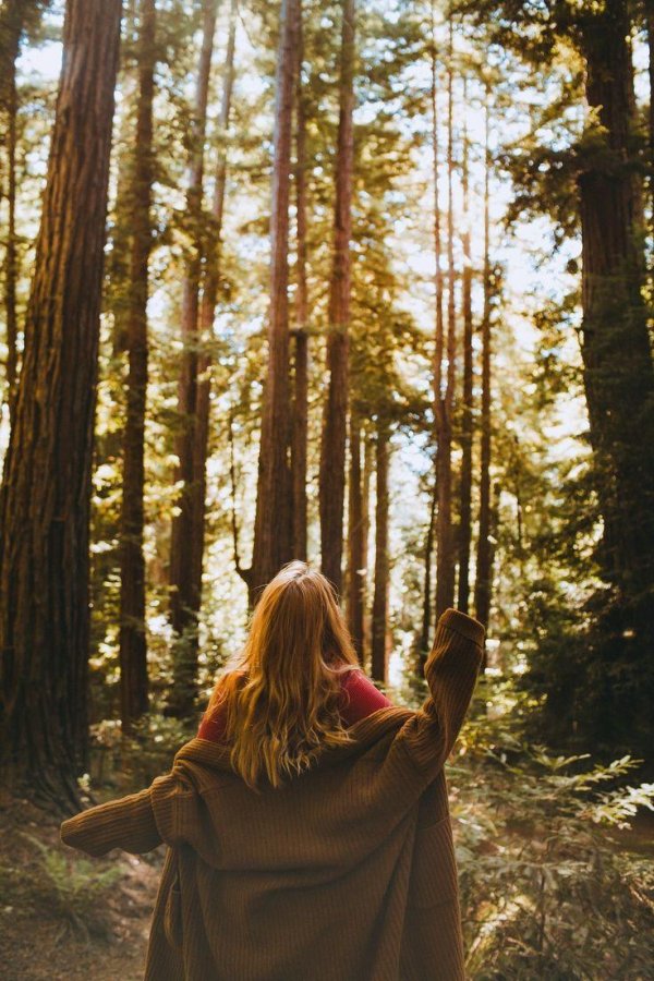 Лес и девушка