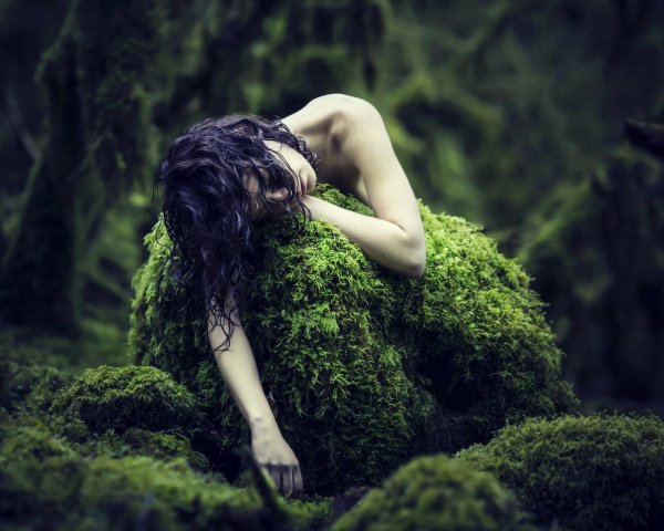 Лес и девушка