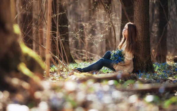 Лес и девушка