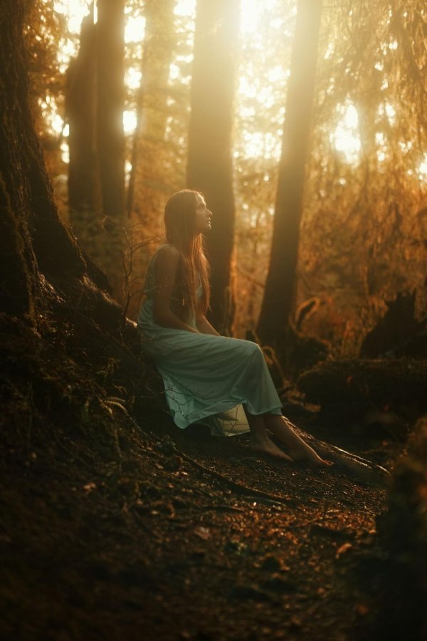 Лес и девушка