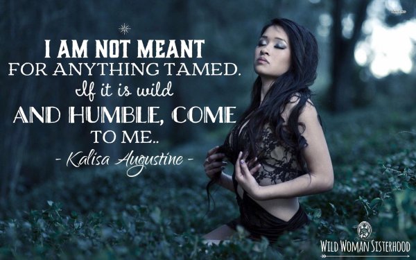 Лес и девушка