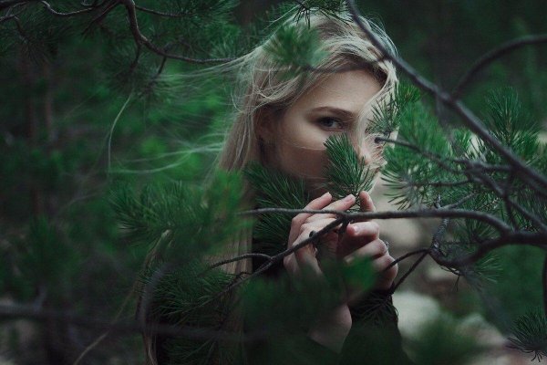 Лес и девушка