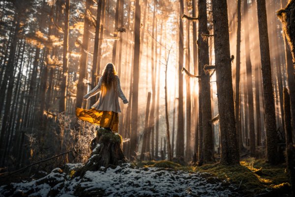 Лес и девушка