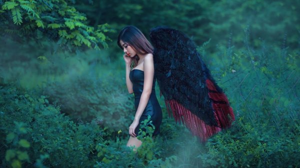 Леса с девушками