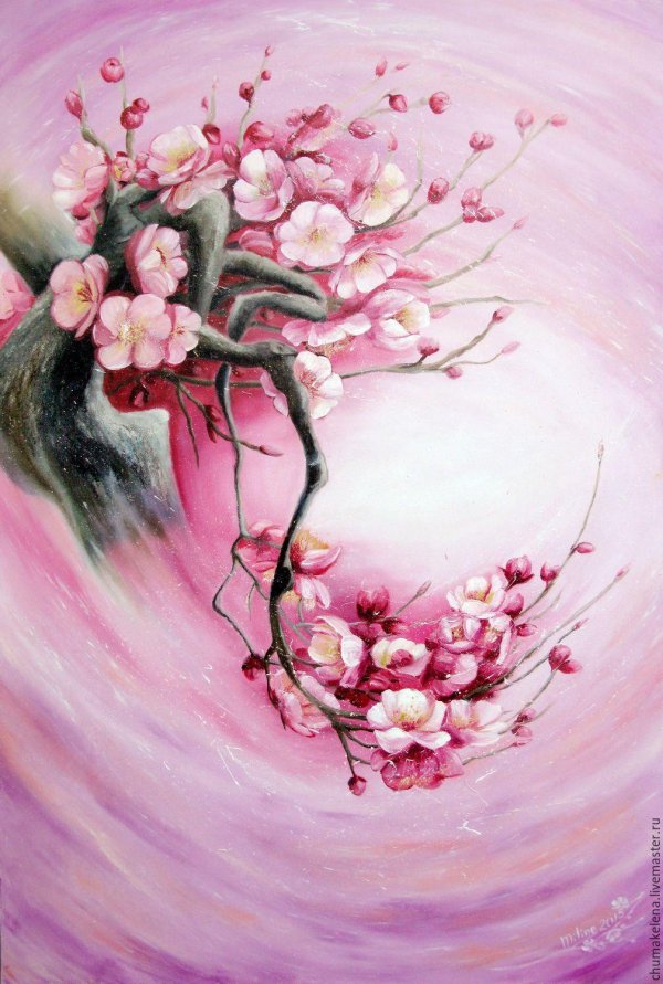 сакура акрилом