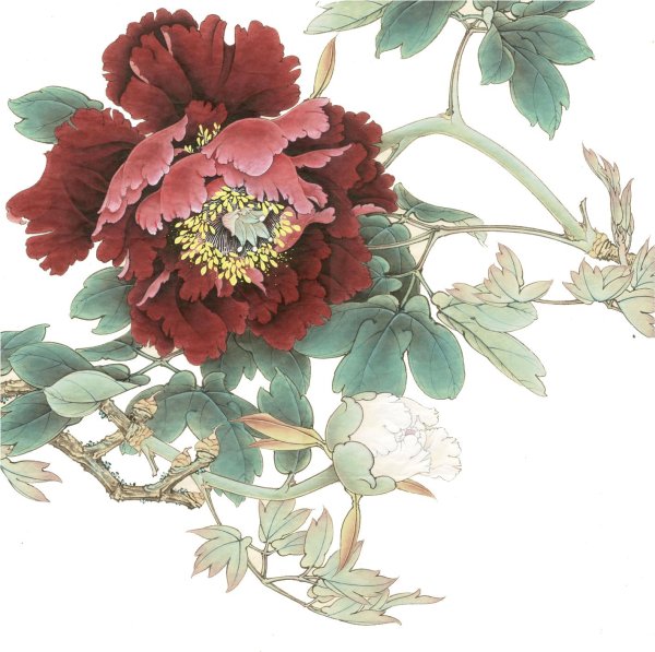 пионы гунби