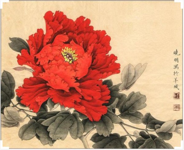 пионы гунби