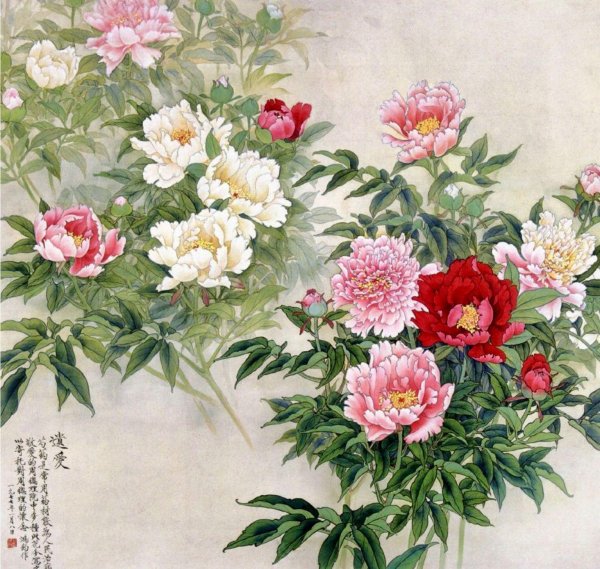 древовидный пион гунби