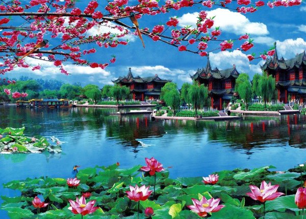 удивительная природа